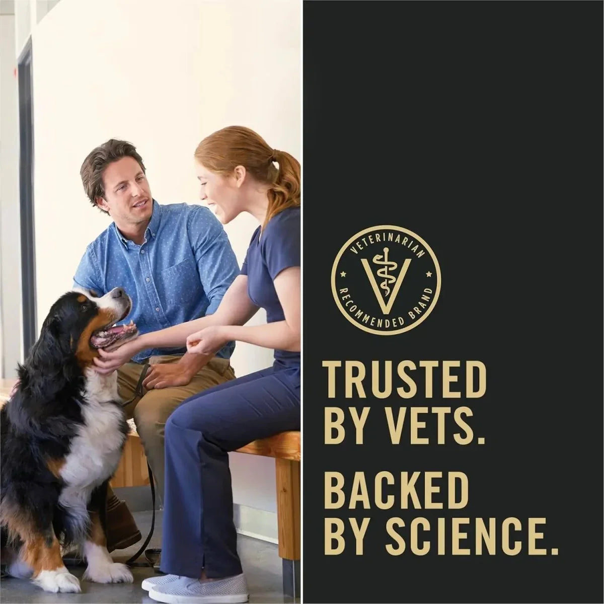 Pro Plan Weight Management Turkey & Rice Morsels in Gravy Adult Wet Dog Food 12 / 13 oz - Talis Us