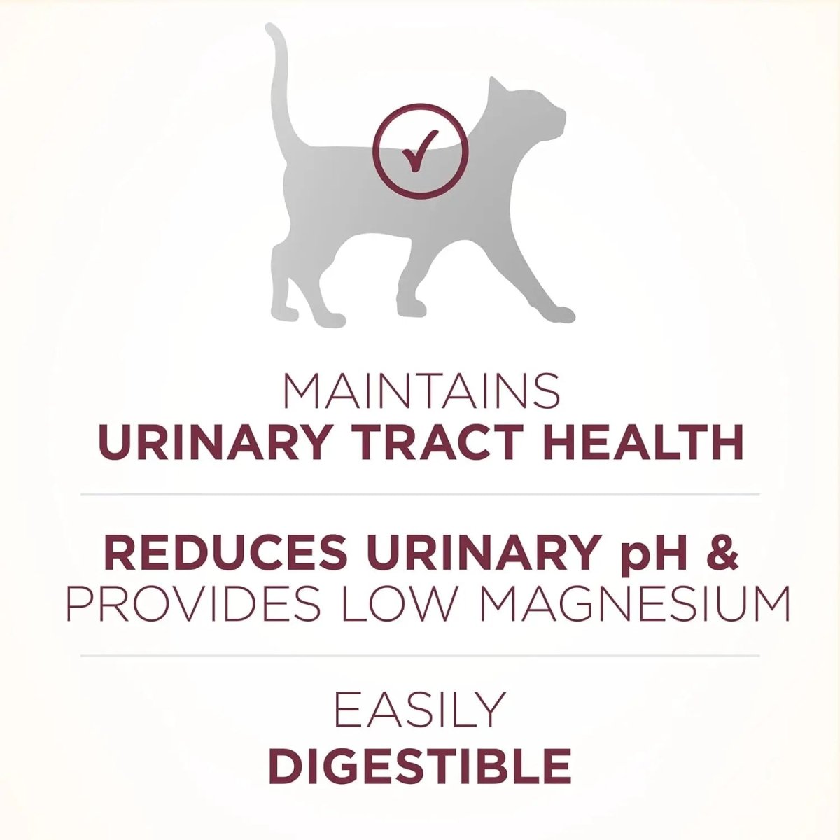 Purina One Special Care Urinary Health High Protein Adult Dry Cat Food - Talis Us