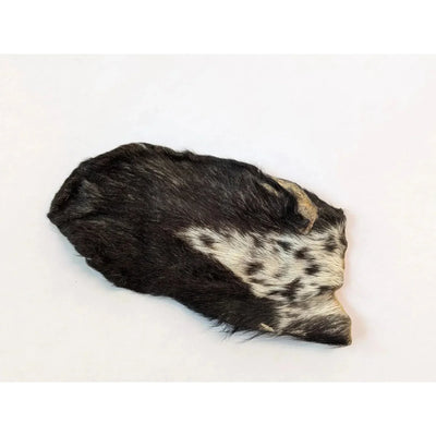 QT Dog Goat Hearz Hairy Goat Ears – All - Natural Long - Lasting Dog Chews 50pcs Bulk - Talis Us