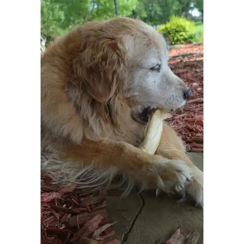 QT Dog Water Buffalo Cheek Rolls Jumbo - Talis Us