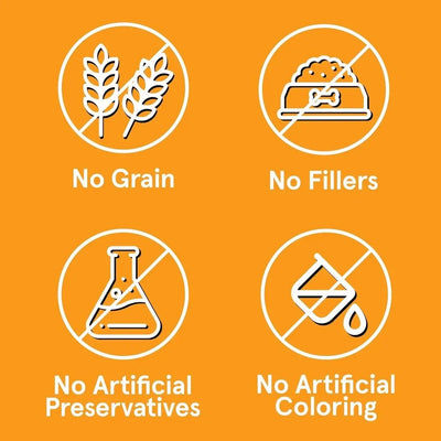 Real Meat Air Dried USA Chicken Dog Food - Talis Us