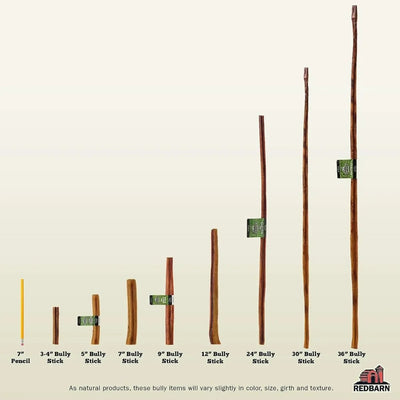 Redbarn 9" Bully Sticks for Dogs 9" (Pack of 50) - Talis Us