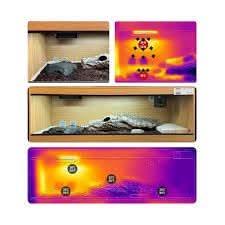 Infrared reptile heat lamp setup for optimal heating in reptile and amphibian habitats.