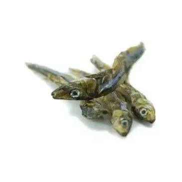 Rocky Mountain Raw Air Dried Sardines Pet Treats 1.4 oz - Talis Us