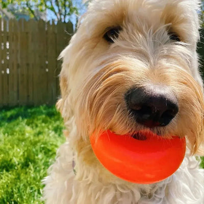 Ruff Dawg, Dawg Nut Tough Dog Chew Toy - Talis Us