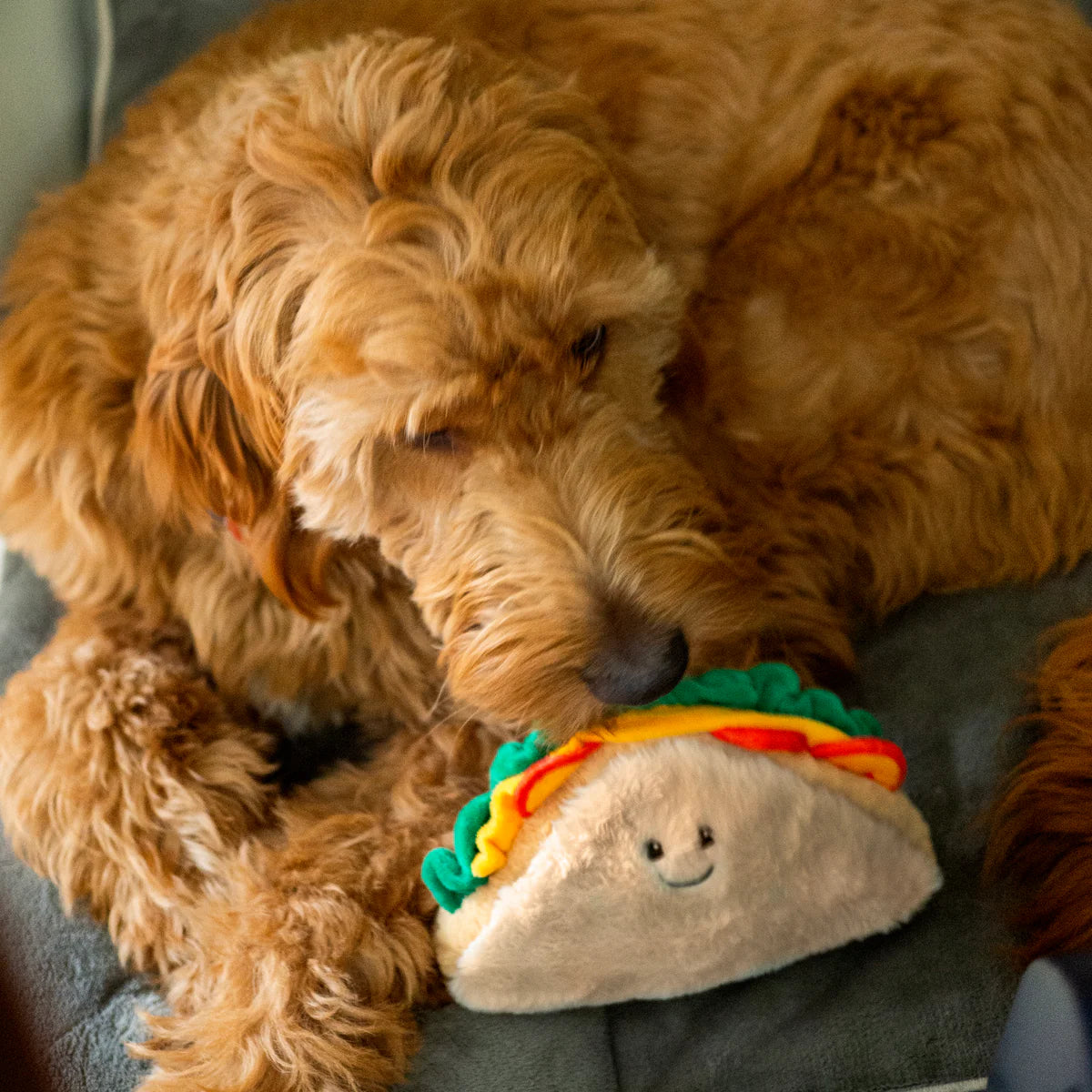 Happy dog cuddling with the ThoozyPet sandwich dog toy featuring a cute smiling face