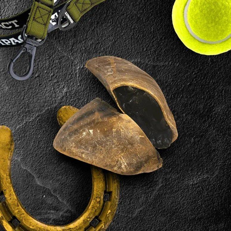 Savannah Pet Food Ostrich Bone Chew with Hoof & Rope Active Dog Toys - Talis Us