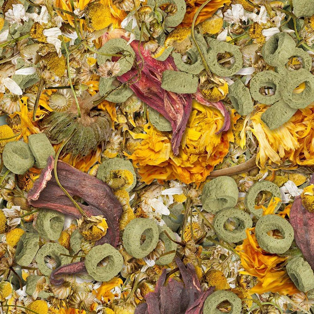 sera Flowers'n'Loops Nature Tortoise Food 4.9 Oz. - Talis Us