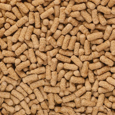 sera Raffy Mineral Pellets Turtle Food 7.6 oz - Talis Us