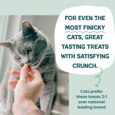 Shameless Pets Catnip N Chill Chicken Liver Crunchy Cat Treats 2.5oz - Talis Us