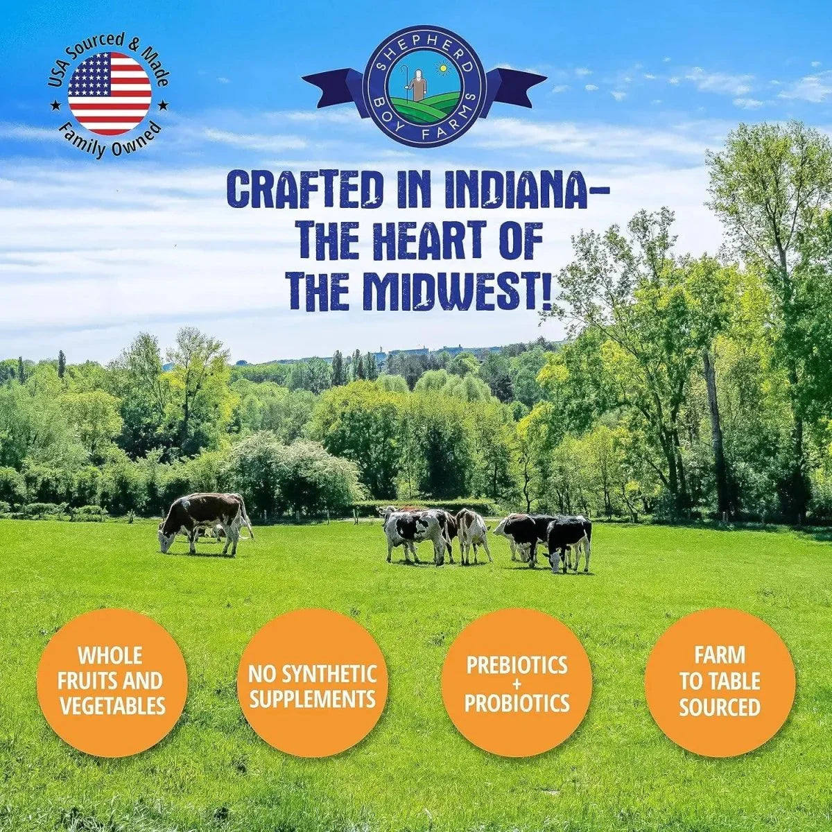 Shepherd Boy Farms Freeze Dried Beef Recipe Dog Food 14 oz - Talis Us