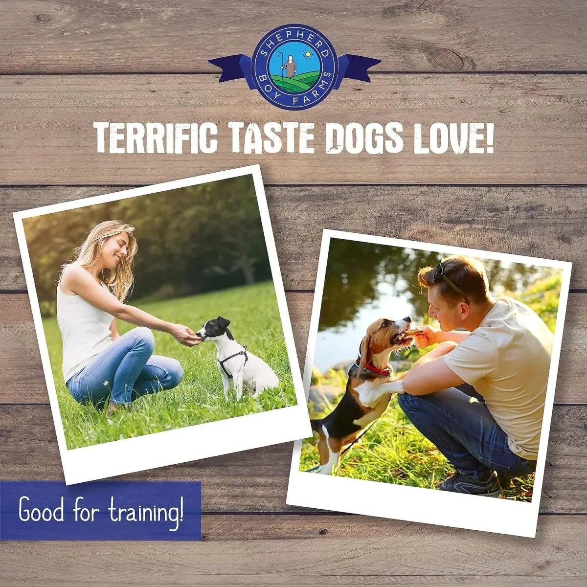 Shepherd Boy Farms Freeze Dried Minnow Dog Treats - Talis Us