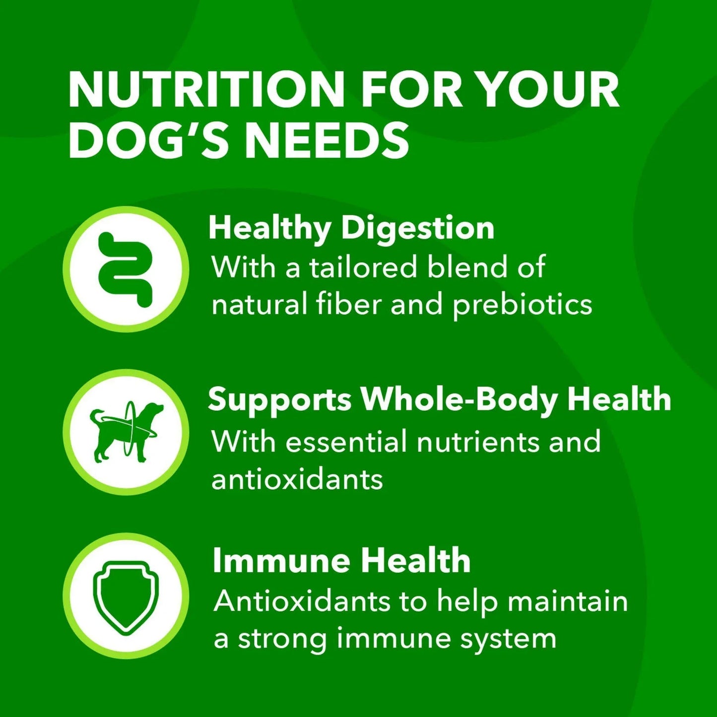 IAMS ProActive Health Adult Lamb Rice Dry MiniChunk Dog Food 30 lb