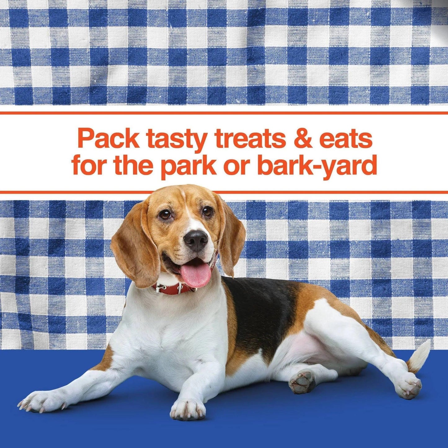IAMS ProActive Health Adult Lamb Rice Dry MiniChunk Dog Food 30 lb