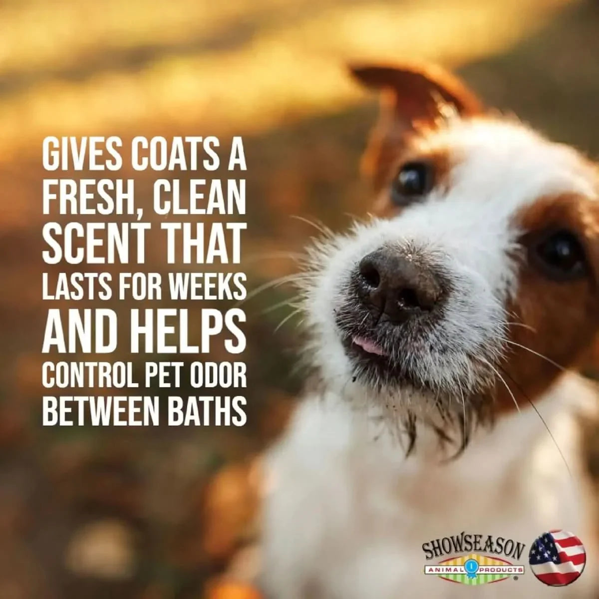 Showseason South Bark Blueberry Clove Dog Cologne - Talis Us