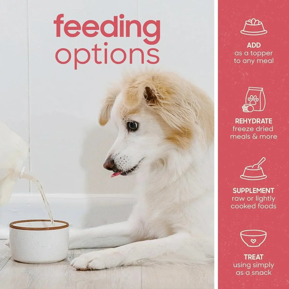 Smallbatch Pets Organic Shelf Stable Adult Beef Bone Broth Wet Dog Food Topper 16oz - Talis Us