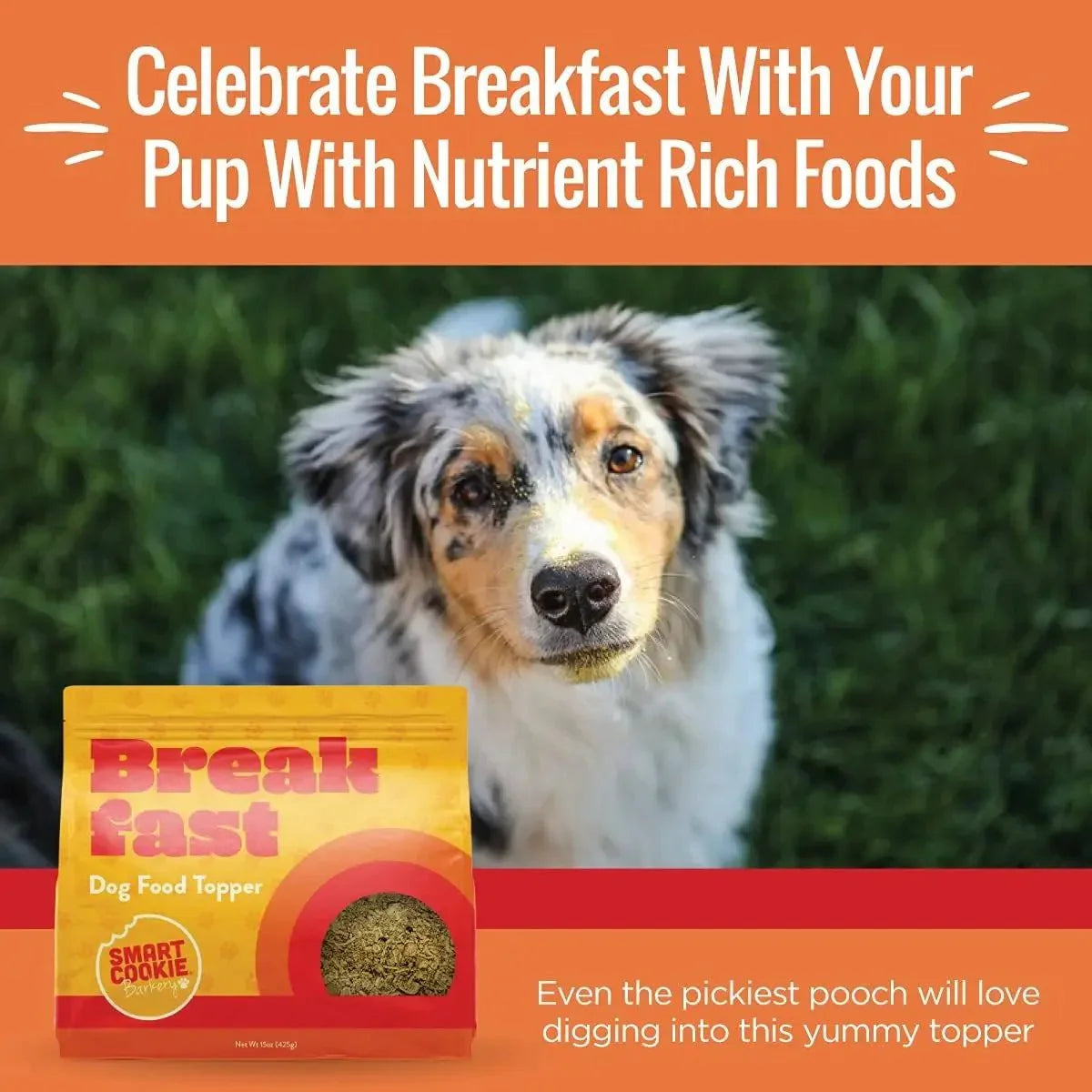 Smart Cookie Breakfast Boost Dog Food Topper with Eggs & Oats 15 oz - Talis Us
