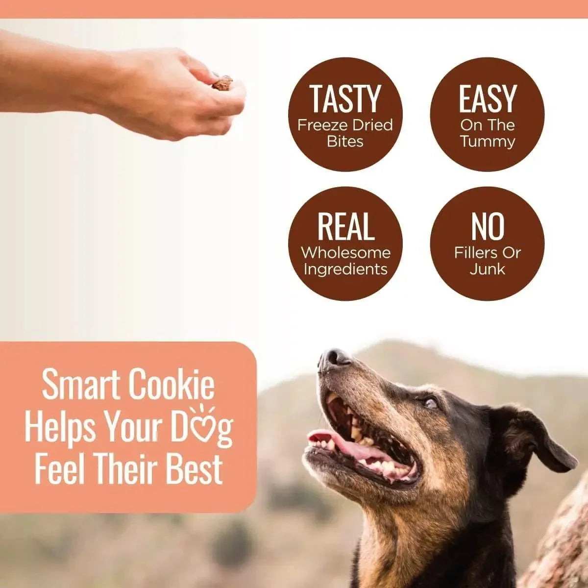Smart Cookie Freeze - Dried Wild Salmon Treats for Dogs 2oz - Talis Us