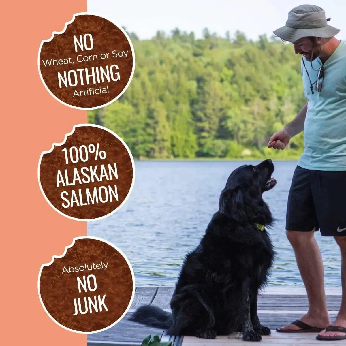 Smart Cookie Freeze - Dried Wild Salmon Treats for Dogs 2oz - Talis Us