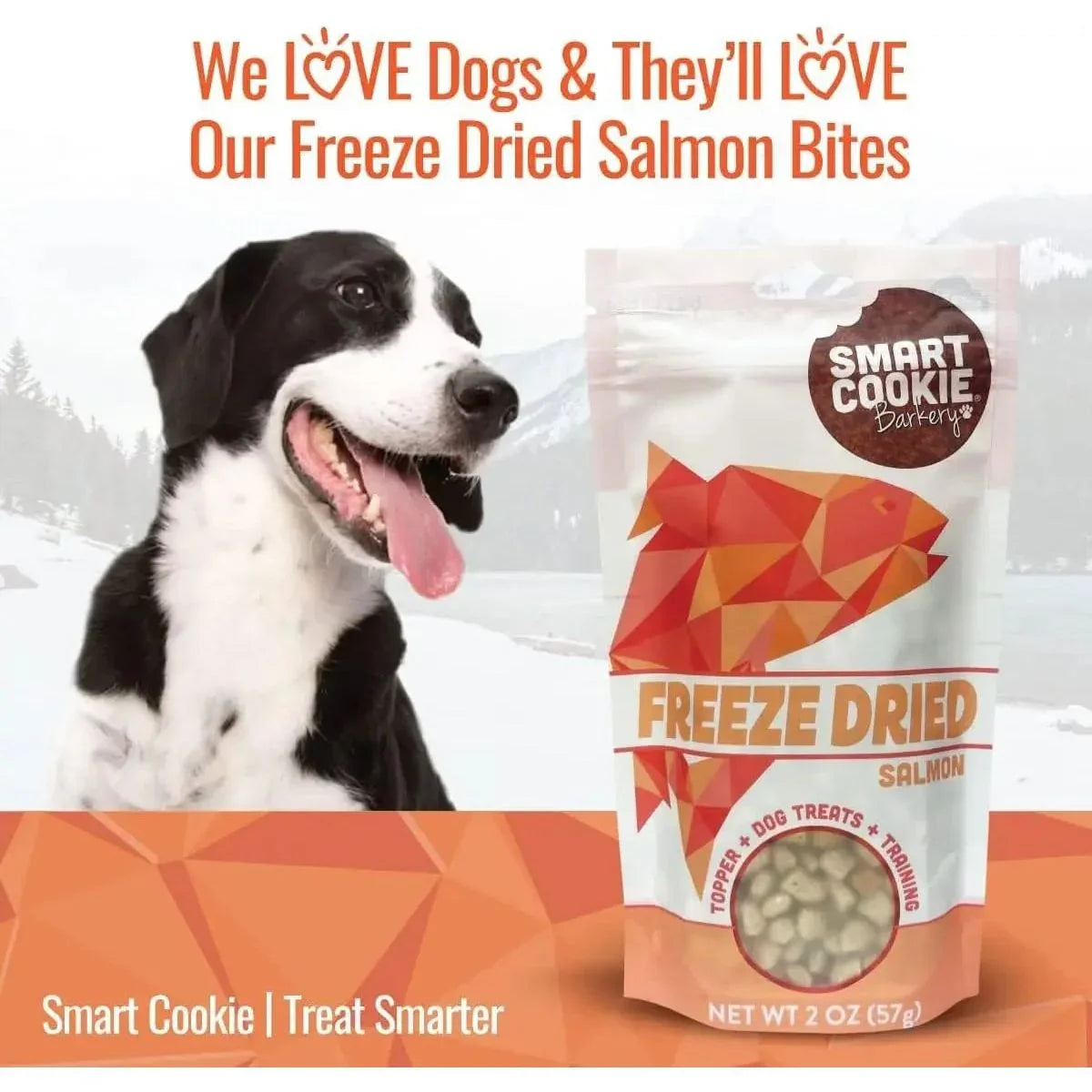 Smart Cookie Freeze - Dried Wild Salmon Treats for Dogs 2oz - Talis Us
