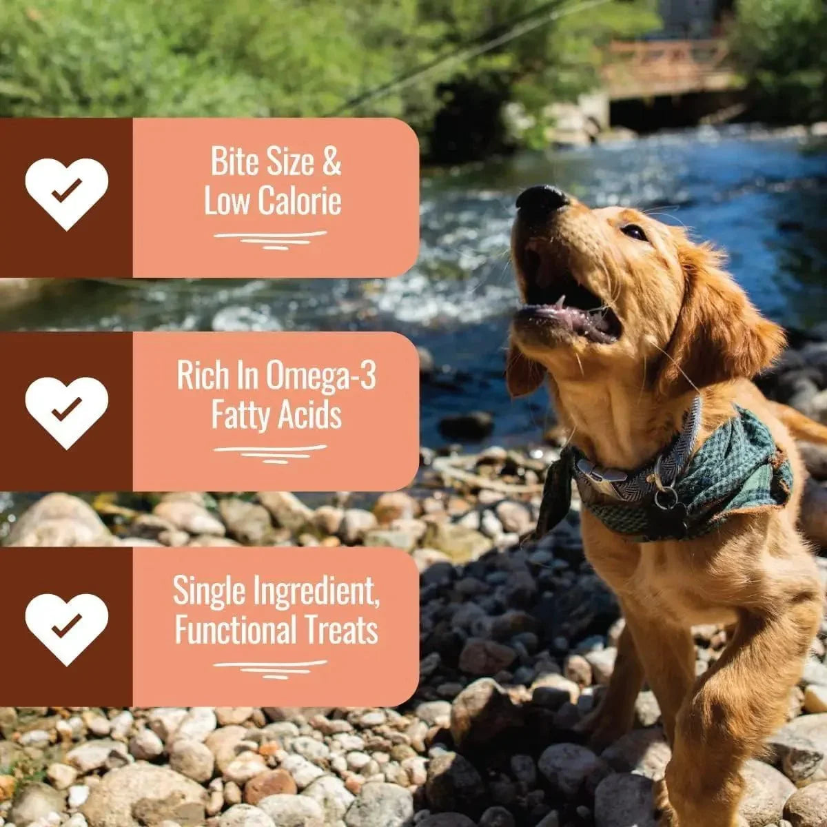 Smart Cookie Freeze - Dried Wild Salmon Treats for Dogs 2oz - Talis Us