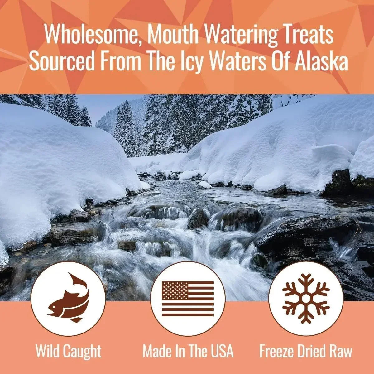 Smart Cookie Freeze - Dried Wild Salmon Treats for Dogs 2oz - Talis Us