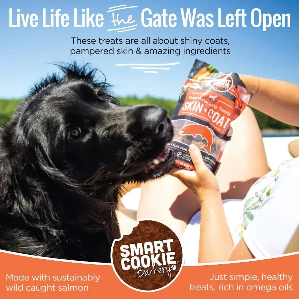 Smart Cookie Healthy Skin & Coat Alaskan Salmon Dog Treats - Talis Us