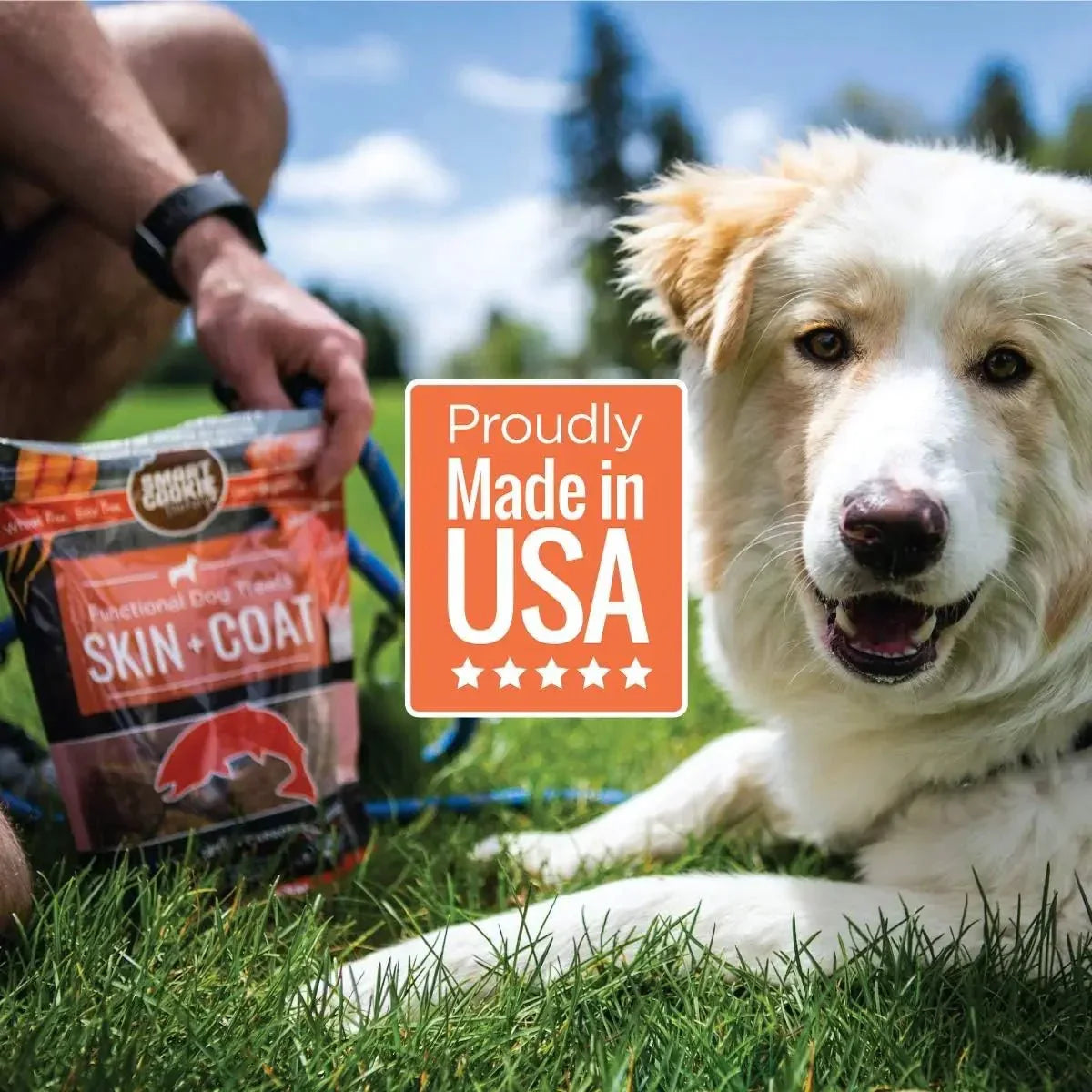 Smart Cookie Healthy Skin & Coat Alaskan Salmon Dog Treats - Talis Us