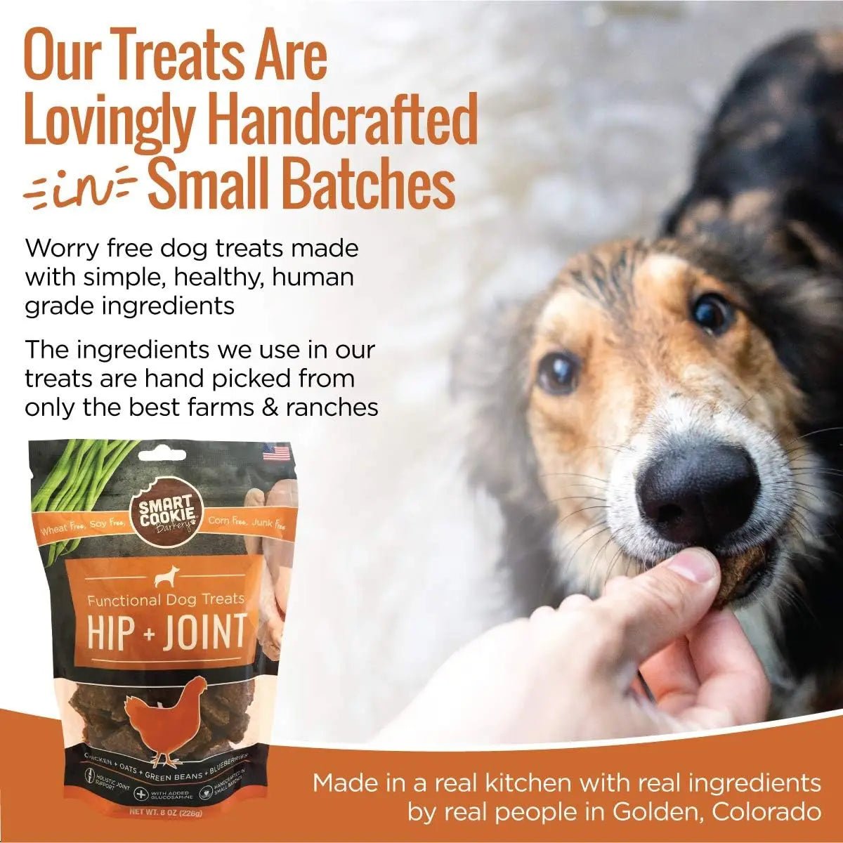 Smart Cookie Hip & Joint Dog Treats – Chicken Biscuits with Glucosamine for Senior Dogs 8oz - Talis Us
