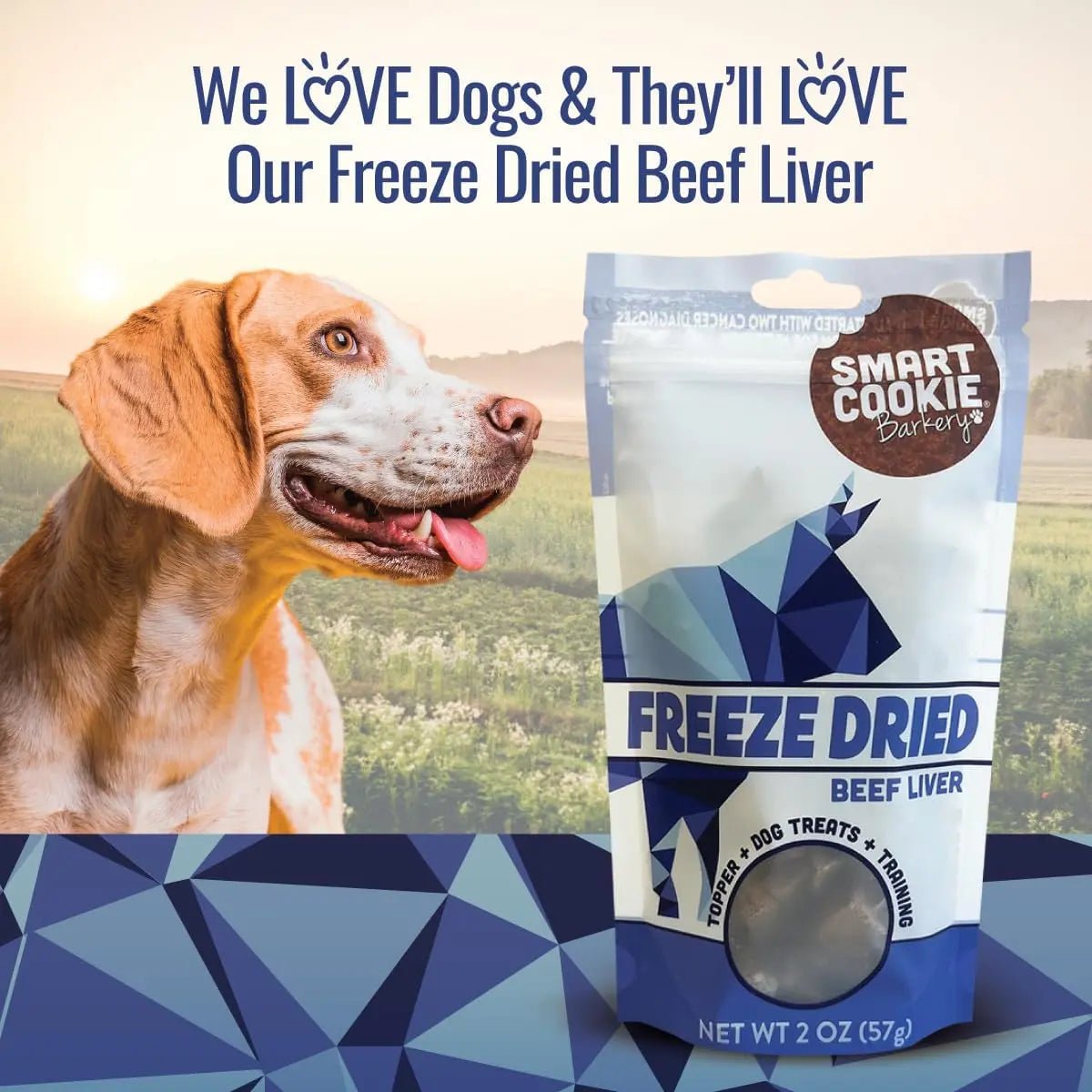 Smart Cookie Low - Calorie Freeze - Dried Liver Treats – Perfect for Training and Topping 2oz - Talis Us