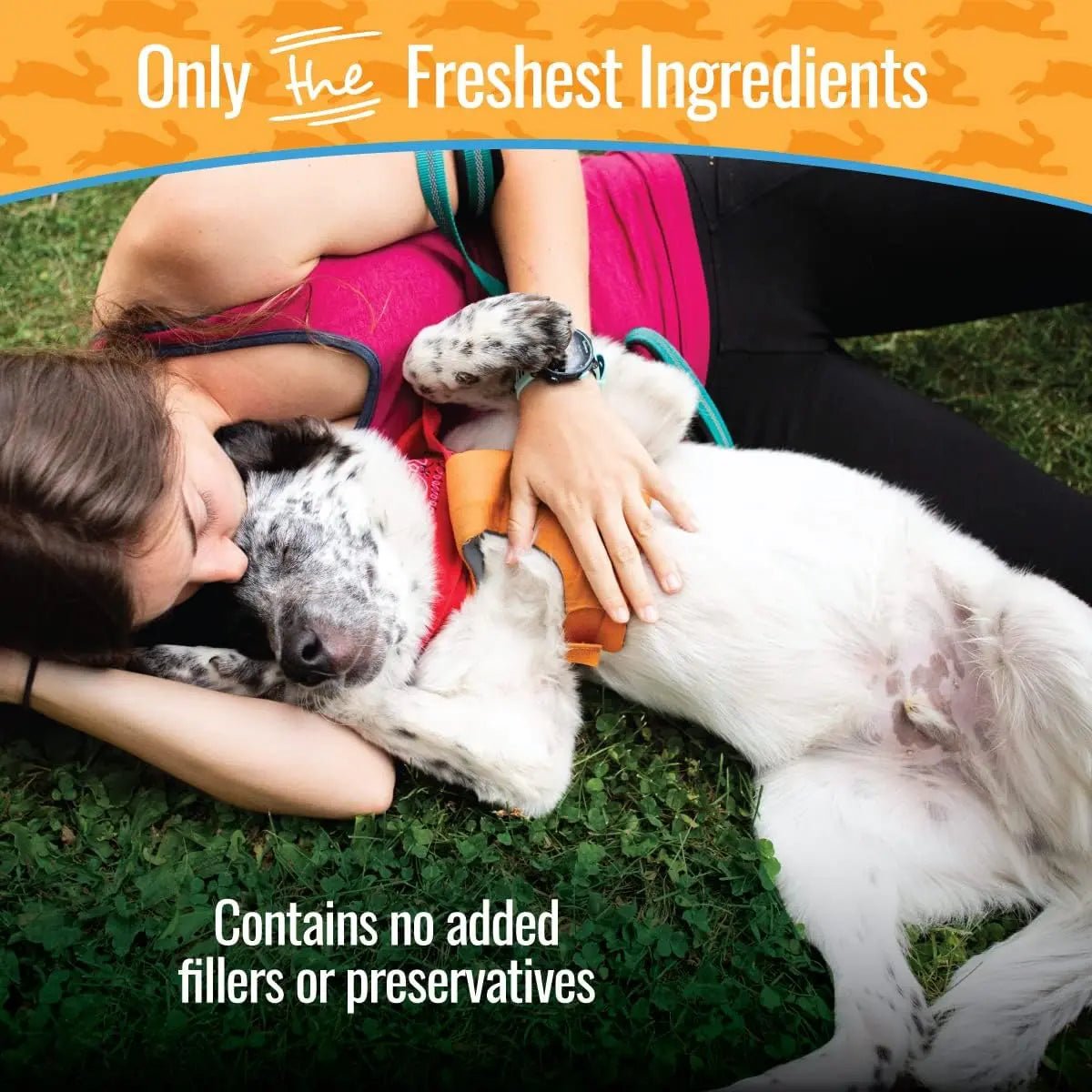 Smart Cookie Rabbit Jerky Dog Treats – Hypoallergenic & Healthy Training Bites - Talis Us