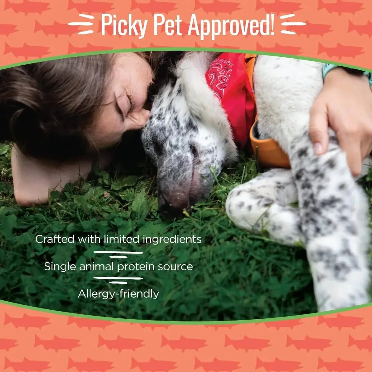 Smart Cookie Wild - Caught Salmon Jerky Treats for Dogs - Talis Us