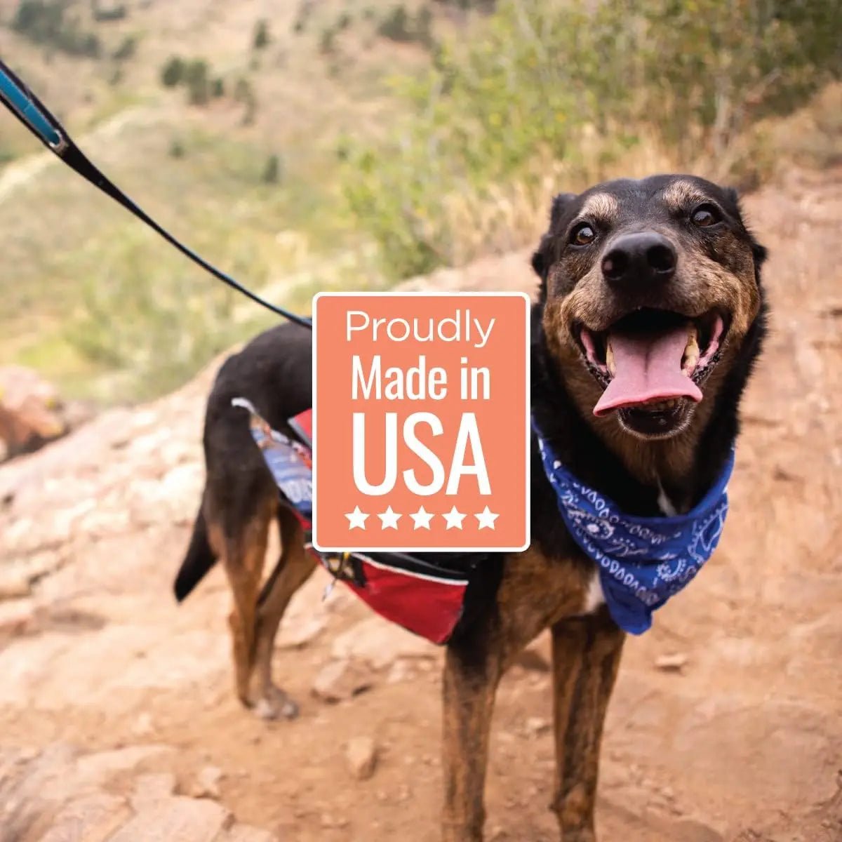 Smart Cookie Wild - Caught Salmon Jerky Treats for Dogs - Talis Us