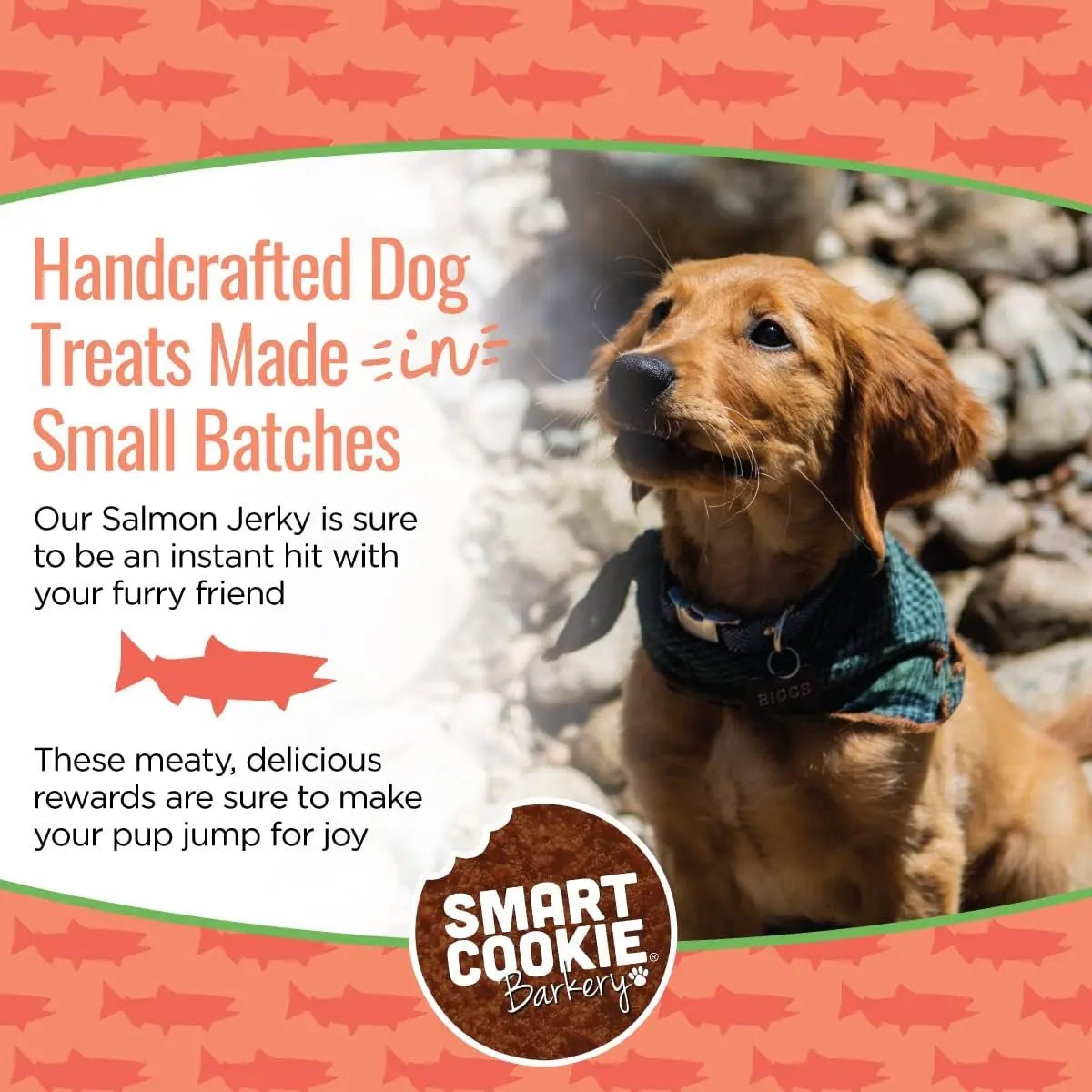 Smart Cookie Wild - Caught Salmon Jerky Treats for Dogs - Talis Us