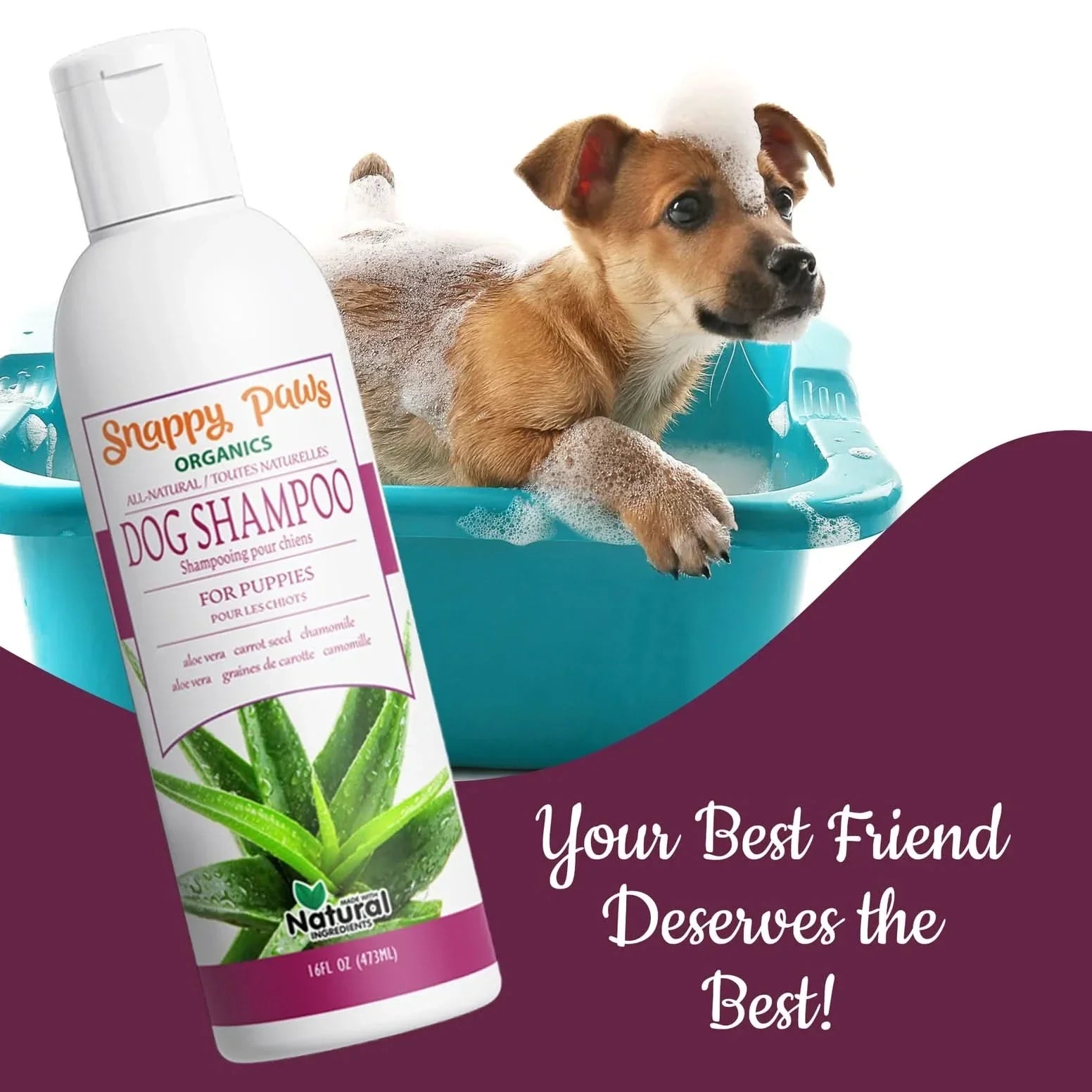 Snappy Tom natural dog shampoo for puppies, featuring aloe vera, in a grooming setting with a puppy