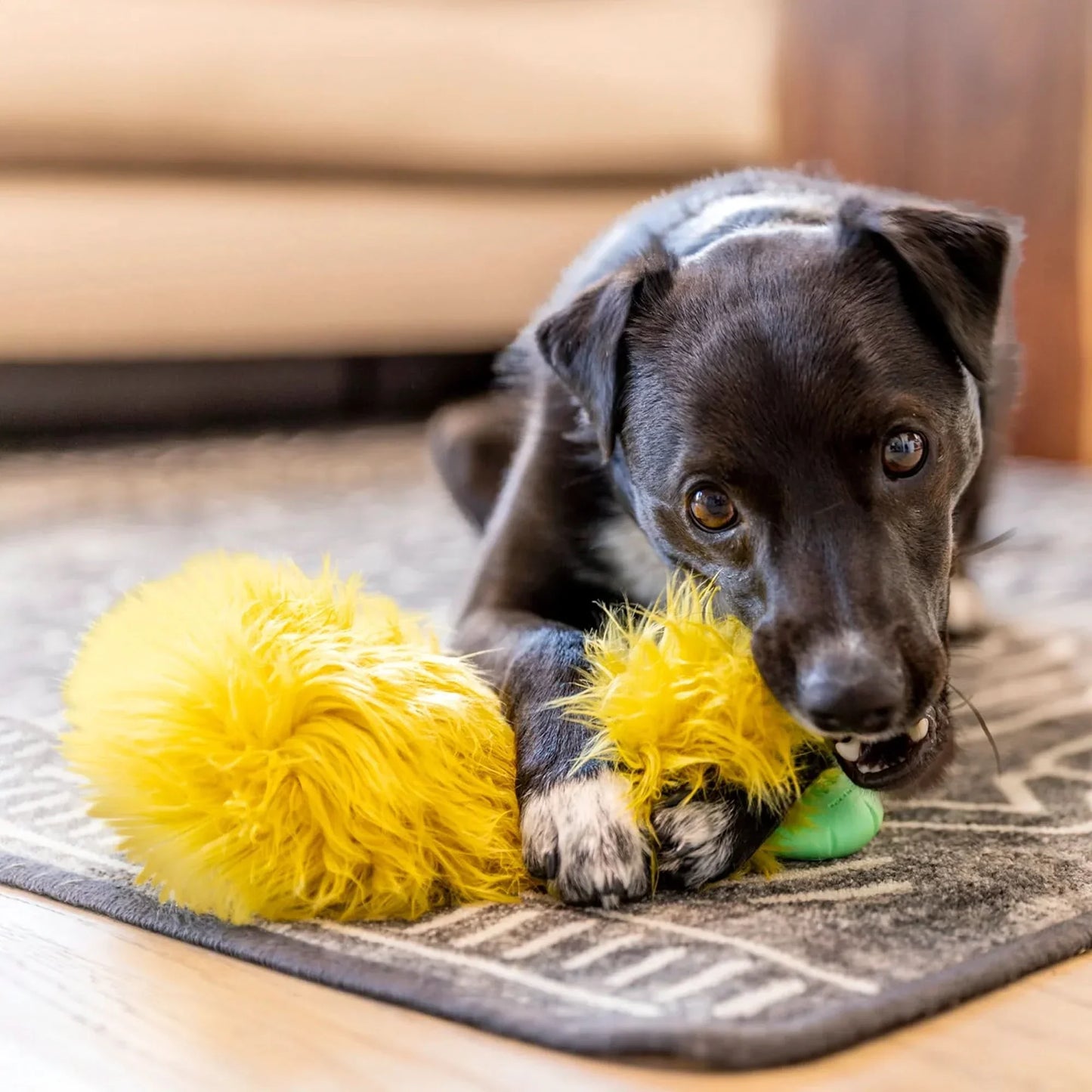 West Paw squeaky plush dog toy in yellow for interactive play and safe chewing
