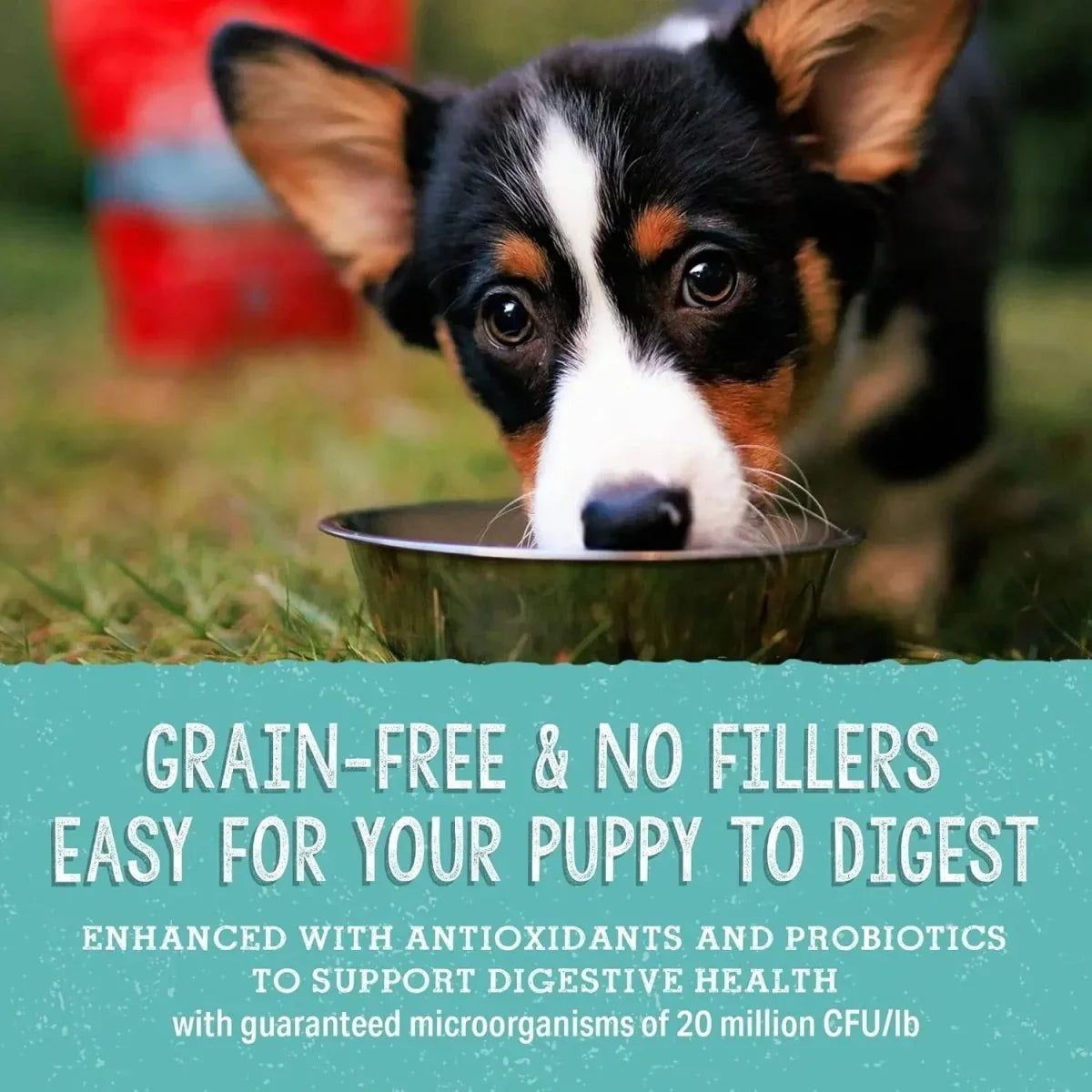 Stella & Chewy's Freeze Dried Beef and Salmon Meal Mixer Puppy Food - Talis Us