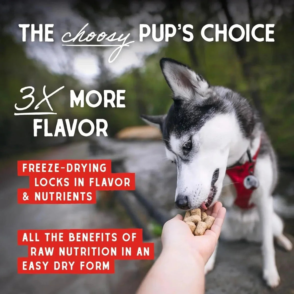 Stella & Chewy's Freeze Dried Stella's Super Beef Meal Mixers - Talis Us