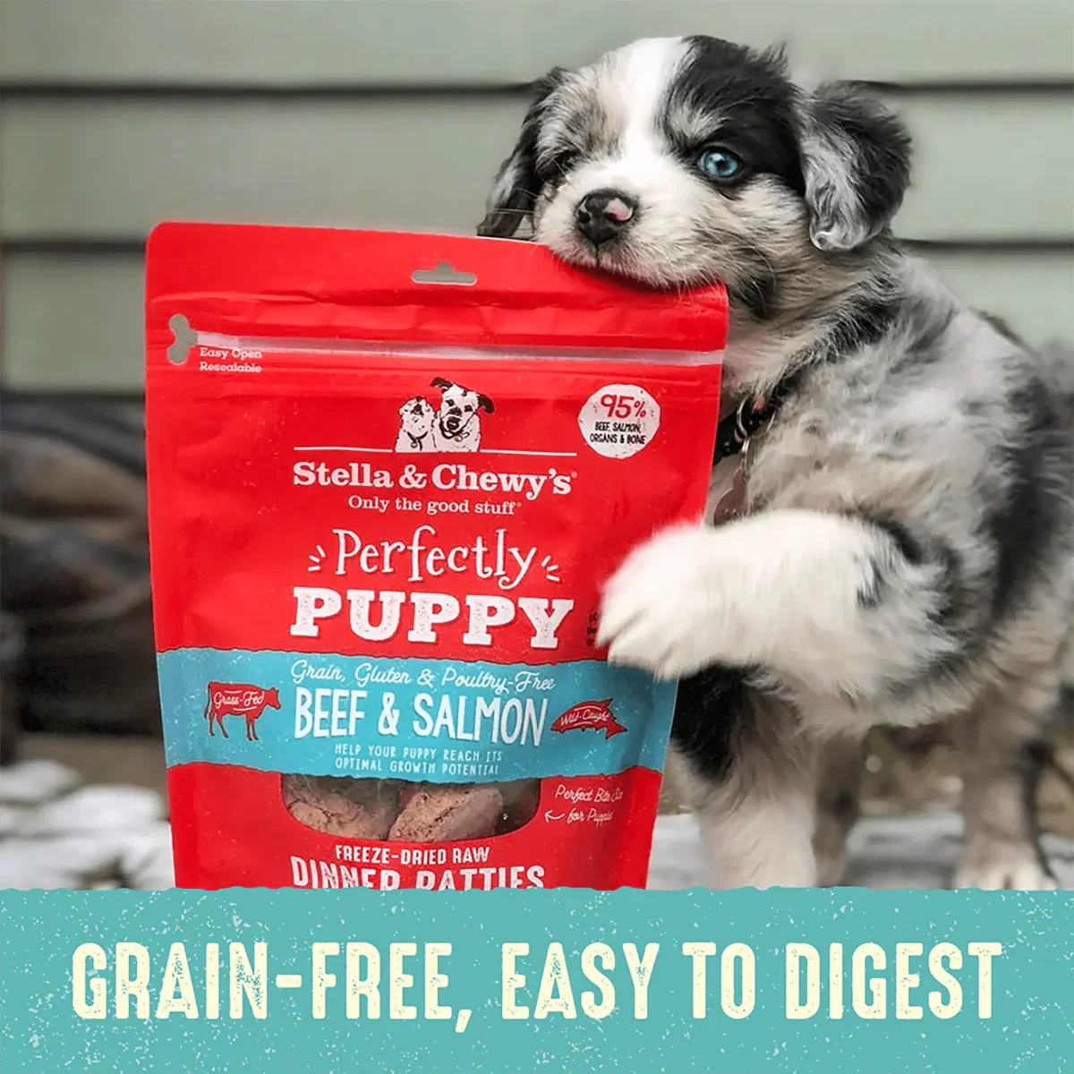 Stella & Chewy's Perfectly Puppy Food Freeze Dried Beef and Salmon - Talis Us
