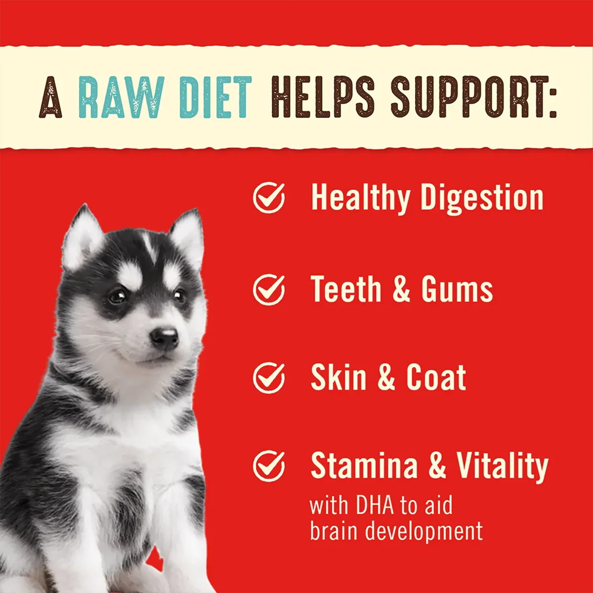 Stella & Chewy's Perfectly Puppy Food Freeze Dried Beef and Salmon - Talis Us