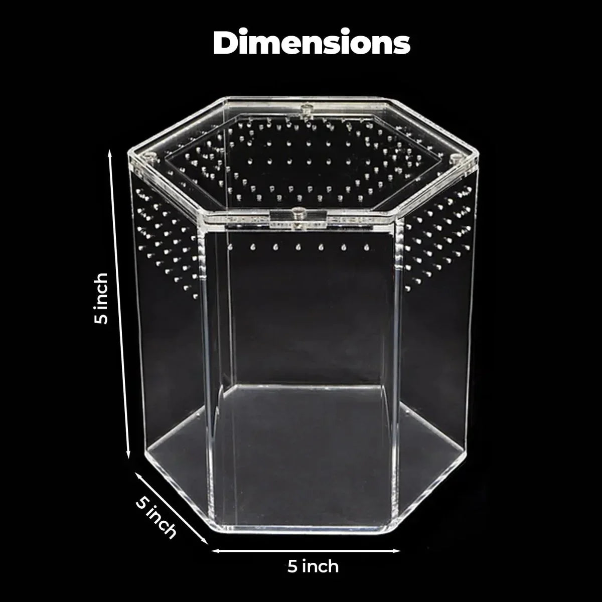 Talis - us Acrylic Hexagon Tarantula Enclosure Reptile Terrarium - Talis Us