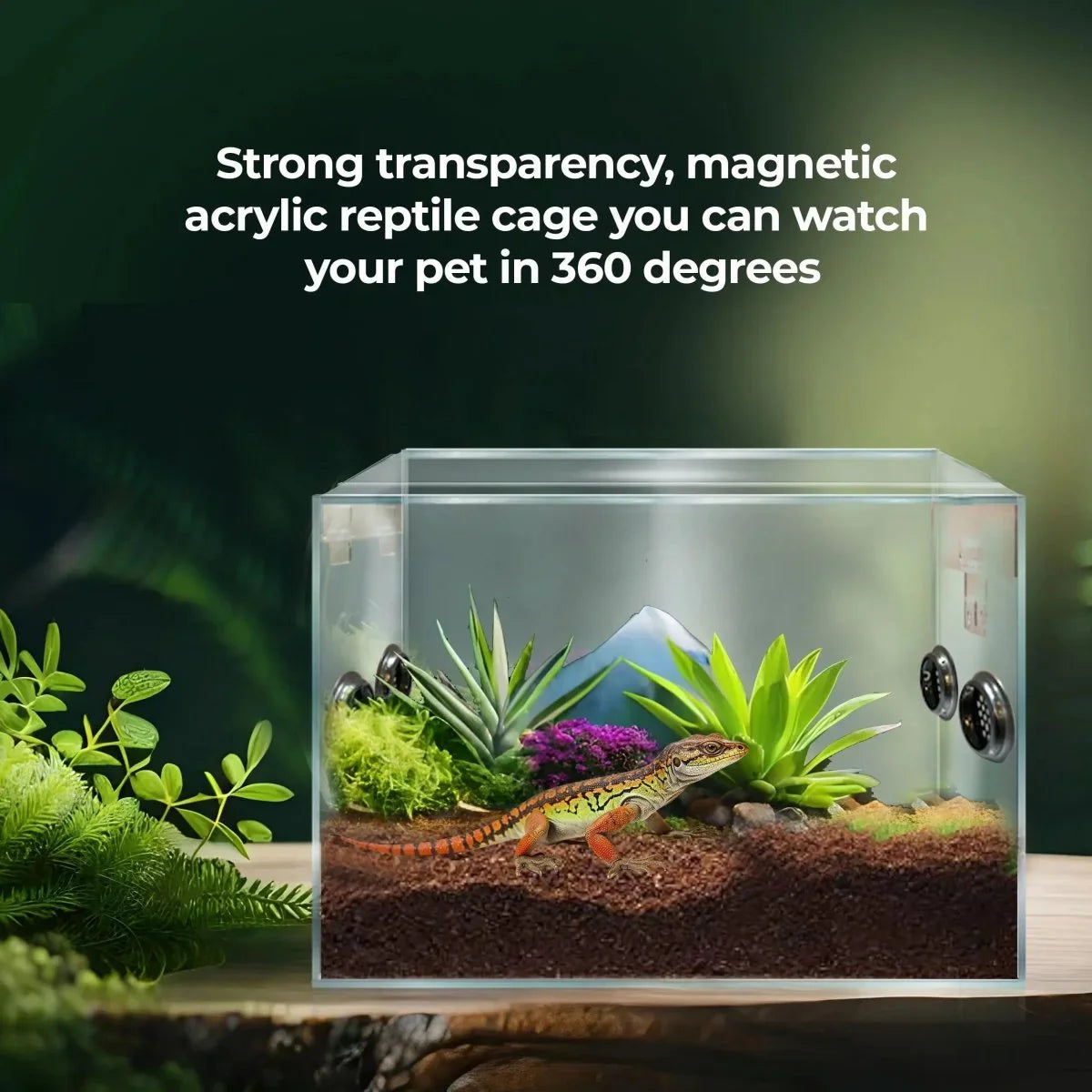 Talis - us Acrylic Reptile Breeding Tarantula Enclosure Arboreal Habitat for Spiders Gecko - Talis Us