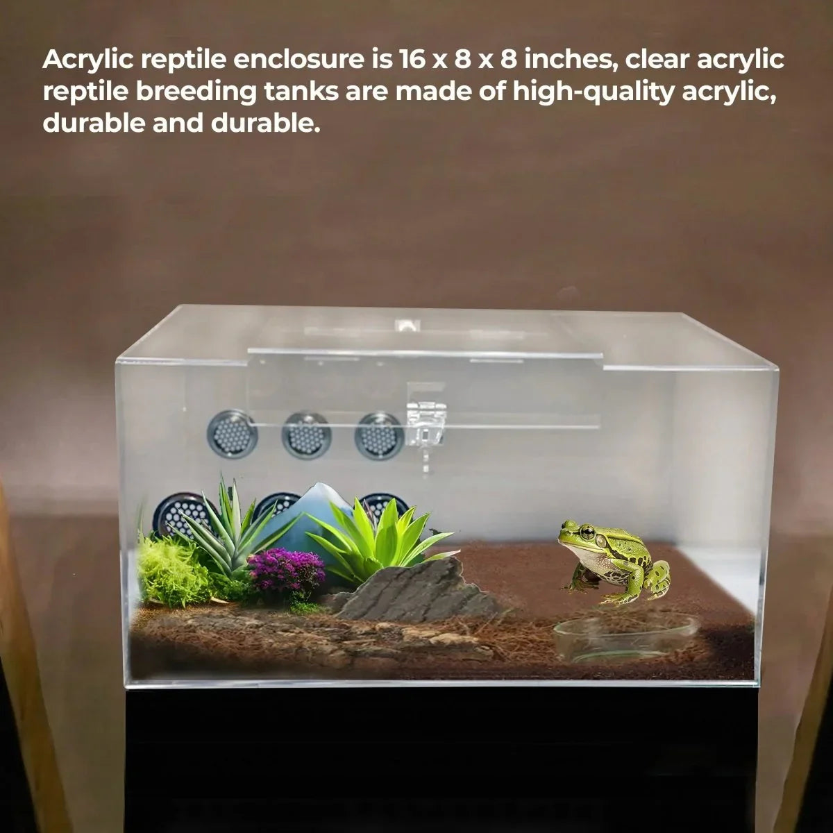 Talis - us Acrylic Tarantula Enclosure Transparent Terrariums Horizontal or Vertical Style for Spider Reptile Insect 8” x 8” x 16” - Talis Us