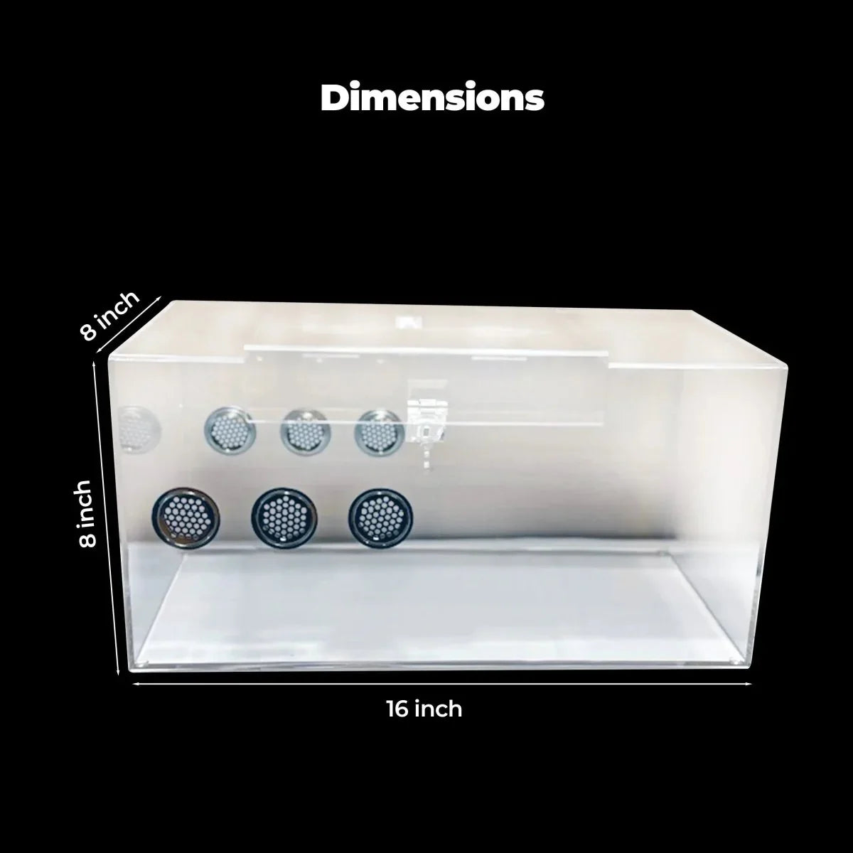 Talis - us Acrylic Tarantula Enclosure Transparent Terrariums Horizontal or Vertical Style for Spider Reptile Insect 8” x 8” x 16” - Talis Us