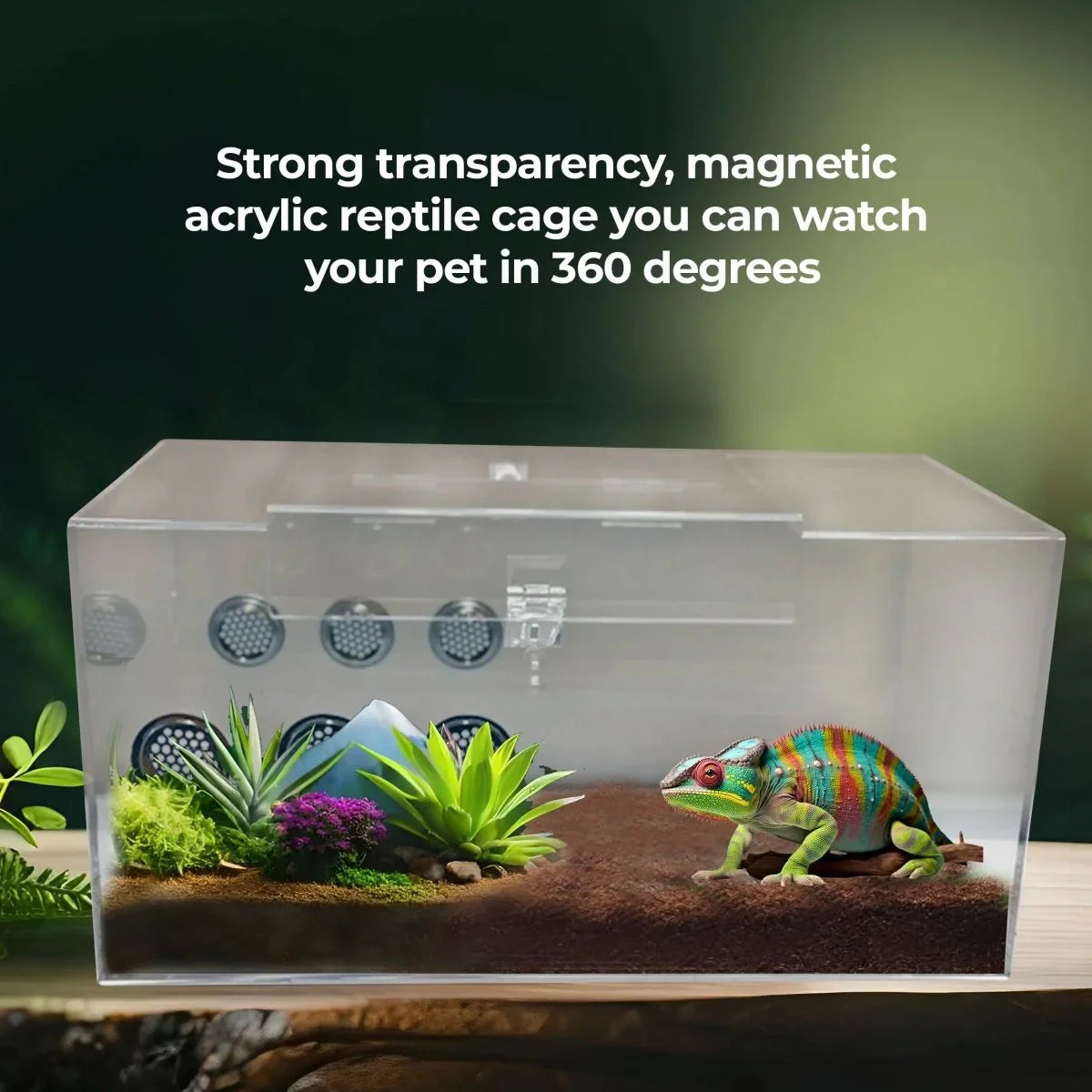 Talis - us Acrylic Tarantula Enclosure Transparent Terrariums Horizontal or Vertical Style for Spider Reptile Insect 8” x 8” x 16” - Talis Us