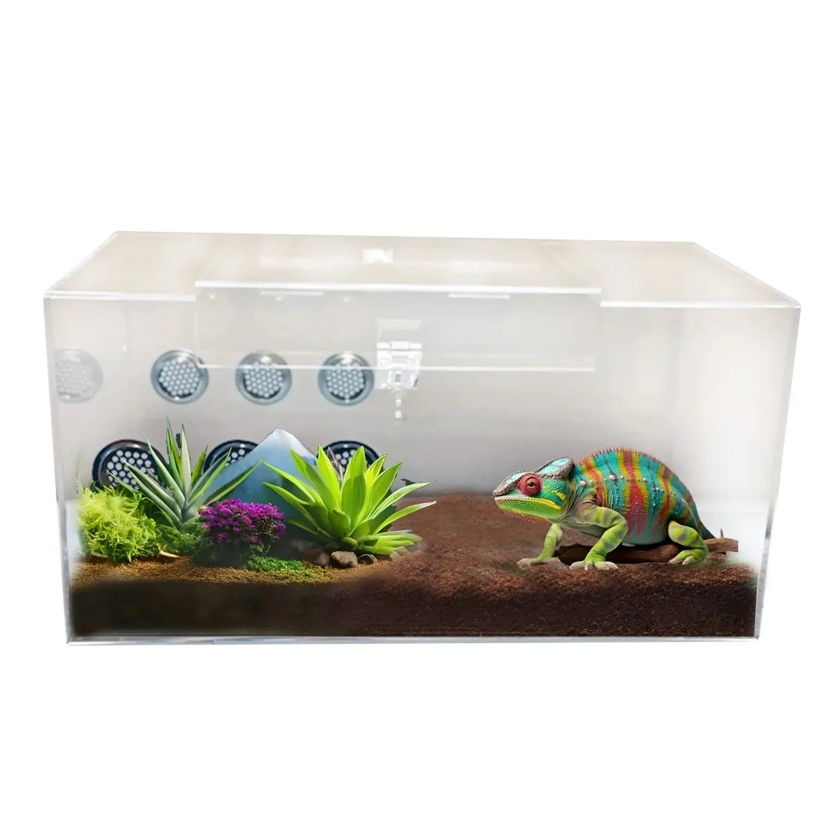 Talis - us Acrylic Tarantula Enclosure Transparent Terrariums Horizontal or Vertical Style for Spider Reptile Insect 8” x 8” x 16” - Talis Us