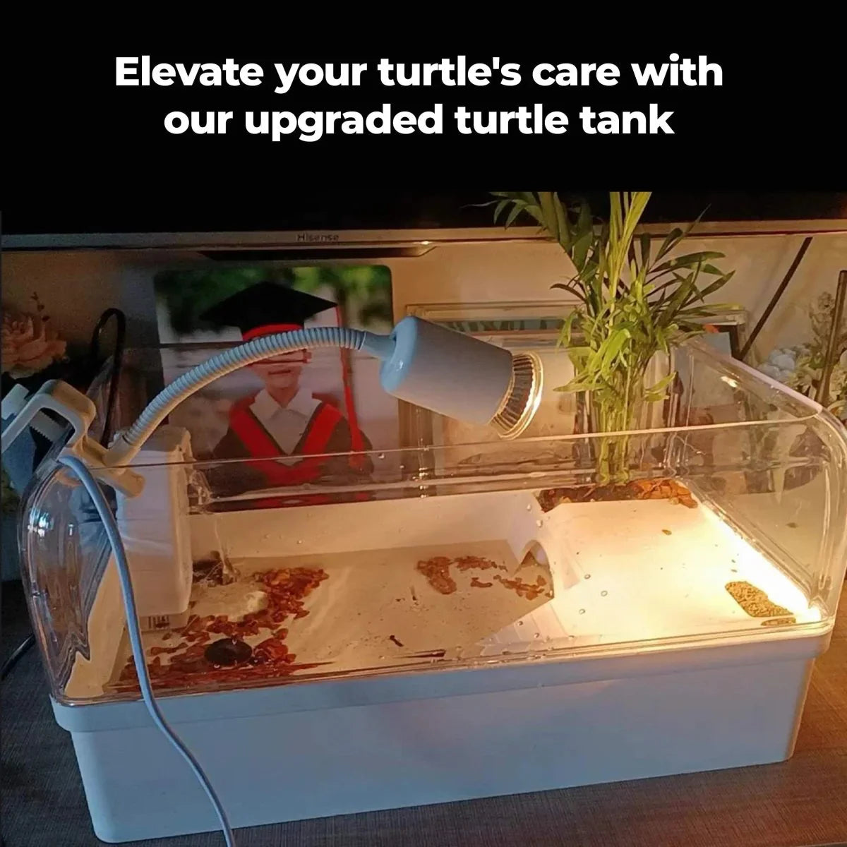 Talis - us Aquatic Tortoise Enclosure with Hideout - Talis Us
