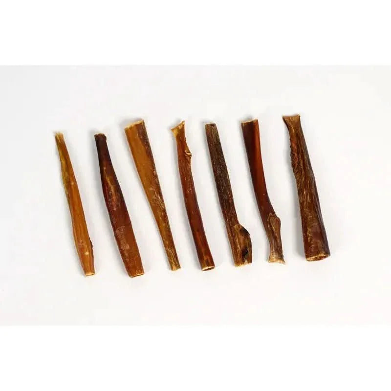 Talis Us Natural Dog Chews Bully Sticks Skin for Dogs 6'' - Talis Us