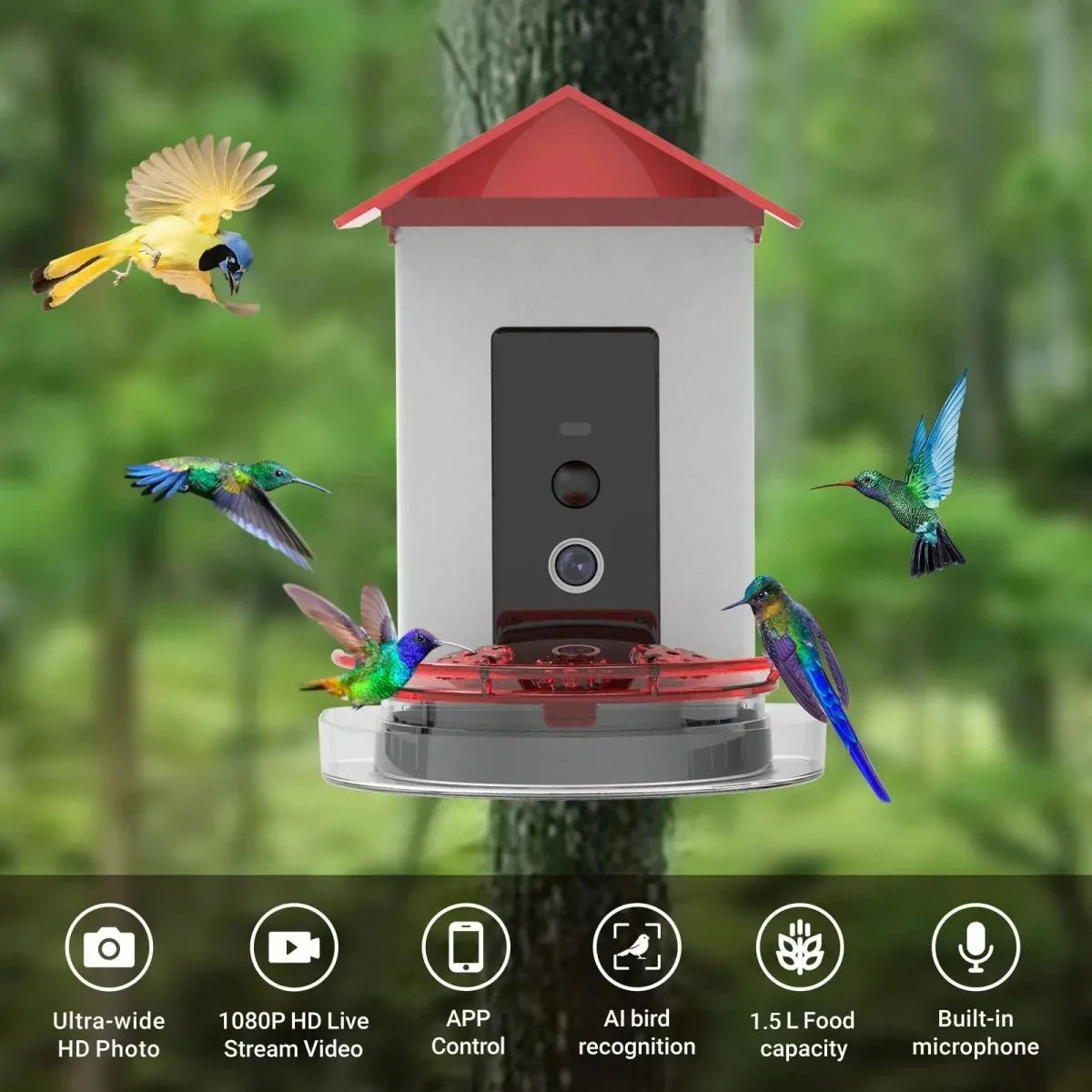 Talis - us Professional Hummingbird Feeder with Smart Al Camera - Talis Us