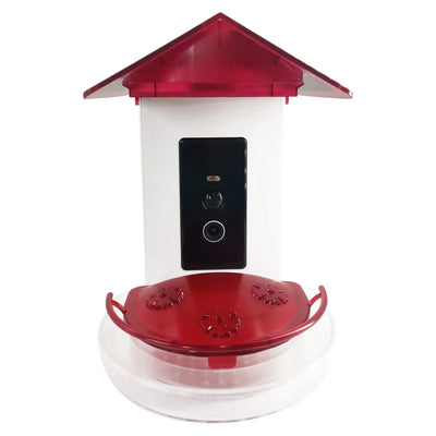 Talis - us Professional Hummingbird Feeder with Smart Al Camera - Talis Us